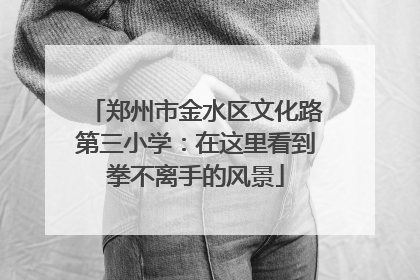郑州市金水区文化路第三小学：在这里看到拳不离手的风景